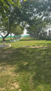 Alokit Nilgiri Plot 2