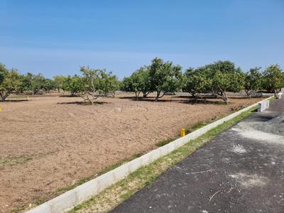 Project Image of 600.0 - 2415.0 Sq.ft Residential Plot Plot for buy in Kris Farms
