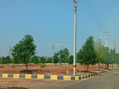 Project Image of 1323.0 - 4401.0 Sq.ft Residential Plot Plot for buy in Cosmo Celesse 
