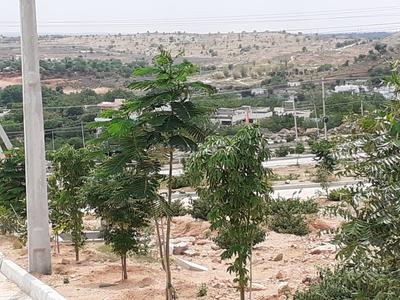 Project Image of 1440.0 - 3600.0 Sq.ft Residential Plot Plot for buy in Haripriya SLNS Hills