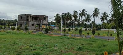 Project Image of 654.0 - 3007.0 Sq.ft Residential Plot Plot for buy in Dream Emerald Avenue