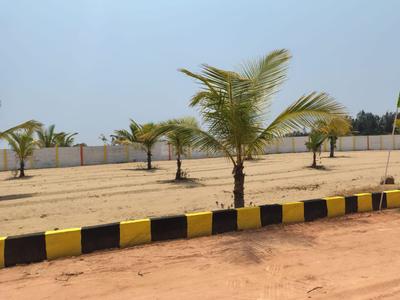 Project Image of 9600.0 - 13020.0 Sq.ft Residential Plot Plot for buy in Maruthi Sea View Farm Land