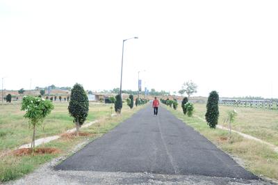 Project Image of 1200.0 - 4000.0 Sq.ft Residential Plot Plot for buy in Anuradha Shreyas Meadows