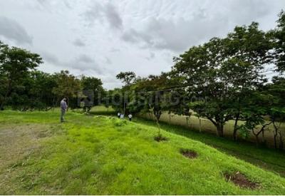 Project Image of 1816.52 - 4683.27 Sq.ft Residential Plot Plot for buy in Shapoorji Pallonji Treetopia Phase 1