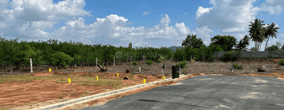 Project Images
