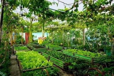 Project Image of 4356.0 - 43560.0 Sq.ft Agricultural Land Agricultural Land for buy in Aruna Ashwadhaa Organic Gardens