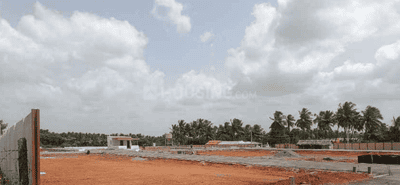 Project Images