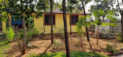 Rudra Mahathae Brindavan Landscape Garden and Tree Planting 2