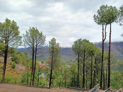 Project Image of 630.0 - 1385.0 Sq.ft 1 BHK Apartment for buy in Sushma Elementa