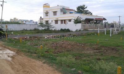 Project Images