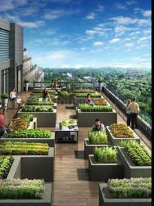 Project Image of 1600.0 - 1740.0 Sq.ft 3 BHK Apartment for buy in Nisith Oak Serenity