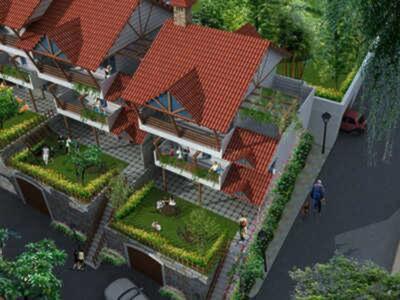 Project Images