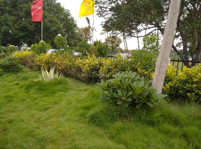 Project Image of 1035.0 - 4914.0 Sq.ft Residential Plot Plot for buy in Sathguru Central