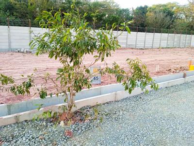 Project Image of 1050.0 - 1227.0 Sq.ft Residential Plot Plot for buy in Sizzle Midtown