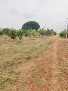 Project Image of 1300.0 - 2500.0 Sq.ft Agricultural Land Agricultural Land for buy in Green Nature Farms