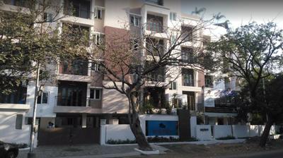 Navins Septem 3z7s9iyq.jpg 1