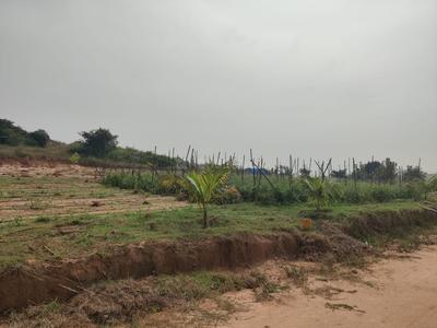 Project Image of 5000.0 - 15000.0 Sq.ft Residential Plot Plot for buy in Sanvi Sandalwood
