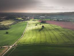 Project Image of 1000.0 - 1200.0 Sq.ft Agricultural Land Agricultural Land for buy in Gunpreet Test 2