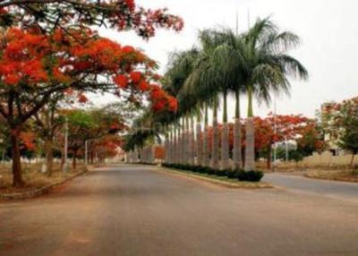 Project Image of 1200.0 - 2400.0 Sq.ft Residential Plot Plot for buy in Abhyudaya Palm Meadows