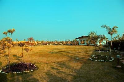 Project Image of 9072.0 - 36288.0 Sq.ft Residential Plot Plot for buy in Nine O Nine Sportsland Activity Farms