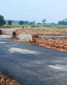 AGS Avenue Project Images