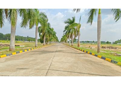 Project Image of 1200.0 - 2400.0 Sq.ft Residential Plot Plot for buy in Xotic Anthea