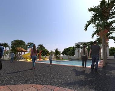Project Images