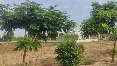 Project Image of 1620.0 - 3150.0 Sq.ft Residential Plot Plot for buy in Yugandhar RRR Riverside