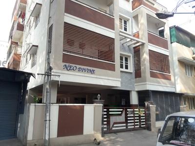 Neo Devine Apartment Elevation 1