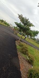 Project Image of 1163.0 - 2400.0 Sq.ft Residential Plot Plot for buy in Premier Water Way
