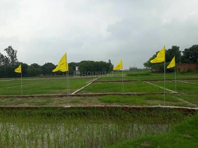 Dev Saundaryam Plot 4
