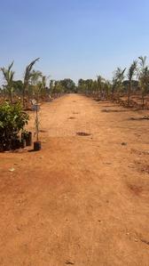 Project Image of 1350.0 - 1800.0 Sq.ft Residential Plot Plot for buy in AVM Keertika Farms