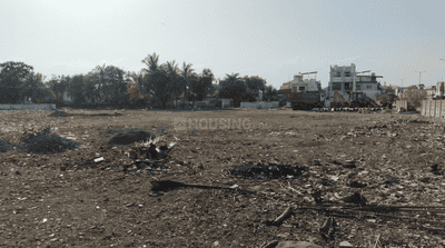 Project Image of 0.0 - 15241.7 Sq.ft Residential Plot Plot for buy in Royal Orchid