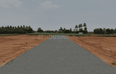 Project Images