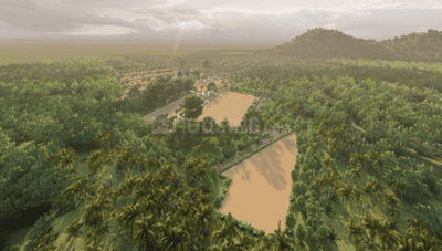 Project Images