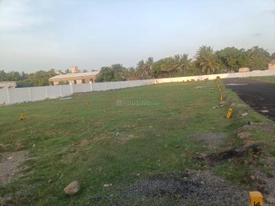 Project Image of 338.0 - 2244.0 Sq.ft Residential Plot Plot for buy in M A M Nagar