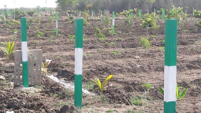 Project Image of 9600.0 - 19999.0 Sq.ft Residential Plot Plot for buy in Kingmakers Farm Land