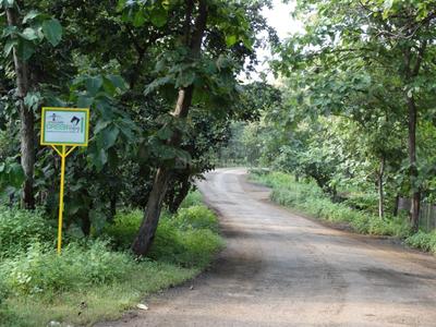 Project Image of 0.0 - 10999.86 Sq.ft Residential Plot Plot for buy in Fortune Green Valley