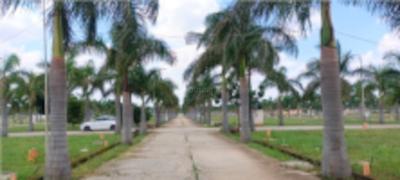 Project Image of 1200.0 - 1500.0 Sq.ft Residential Plot Plot for buy in SUNRISES