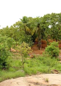 Project Image of 5445.0 - 10890.0 Sq.ft Residential Plot Plot for buy in Krushika Thusha Farms