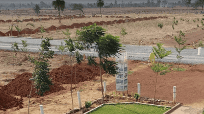 Aranya City Of Woodland Elevation 2