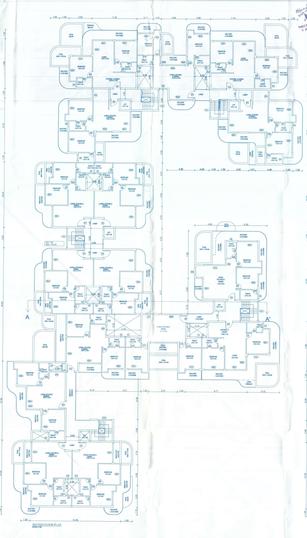 Gallery Cover Pic of Antaara Amora Horrizon