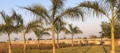 Project Image of 2100 Sq.ft 4 BHK Independent House for sale in Bhatagaon for Rs. 8200000