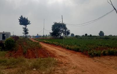 Capital Residency Plot 2
