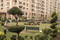 Emaar The Views Landscape Garden and Tree Planting 3