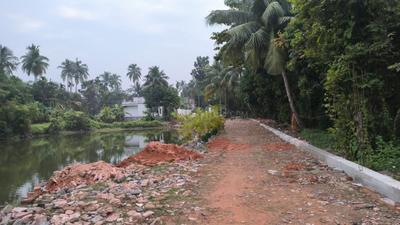 Natures Paradise Natural Pond 2