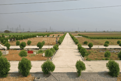 Project Image of 200.42 - 14255.4 Sq.ft Residential Plot Plot for buy in Evergreens Kohinoor