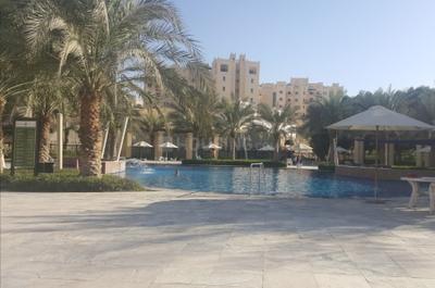 Project Image of 493.0 - 1385.0 Sq.ft 1 BHK Apartment for buy in Dubai Remraam