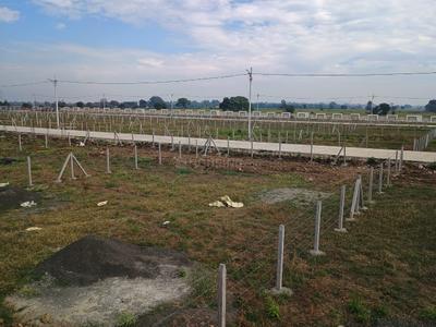 Project Image of 5505.03 - 11455.53 Sq.ft Residential Plot Plot for buy in Greenshire Springs