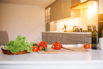Project Image of 1172.0 - 1844.0 Sq.ft 2 BHK Apartment for buy in DDL Atrium